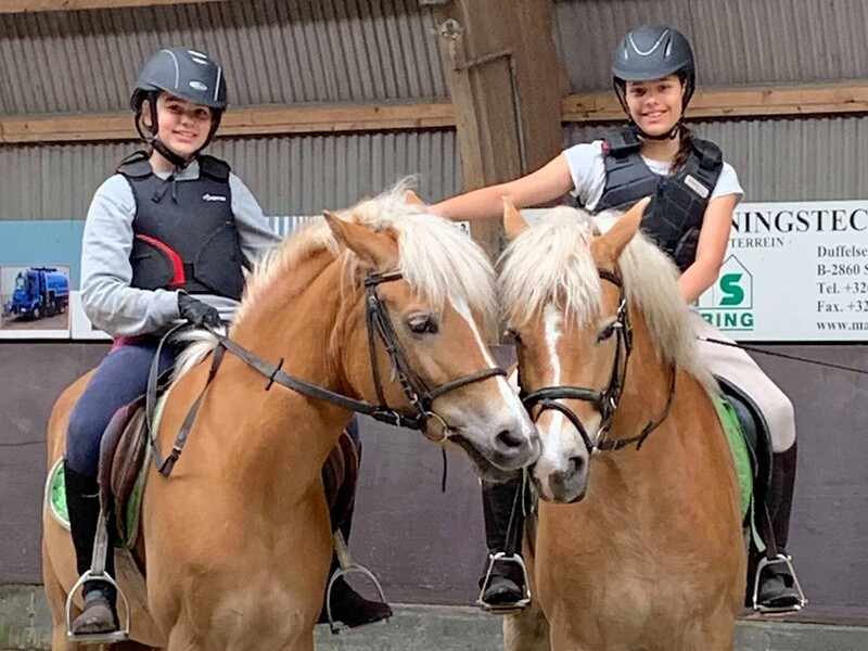 Paardrijden in Belgisch-Limburg