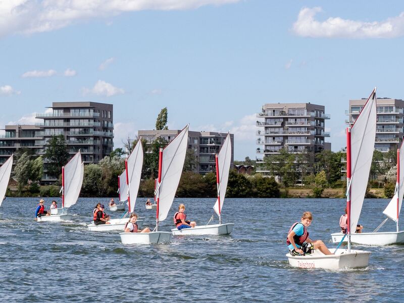 Zeilkamp Optimist