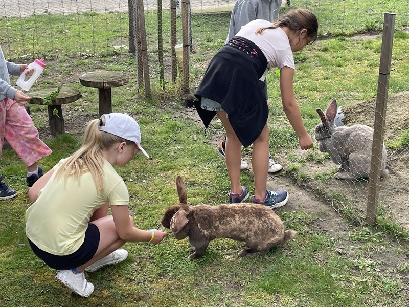 Teamadventure NATUURlijk