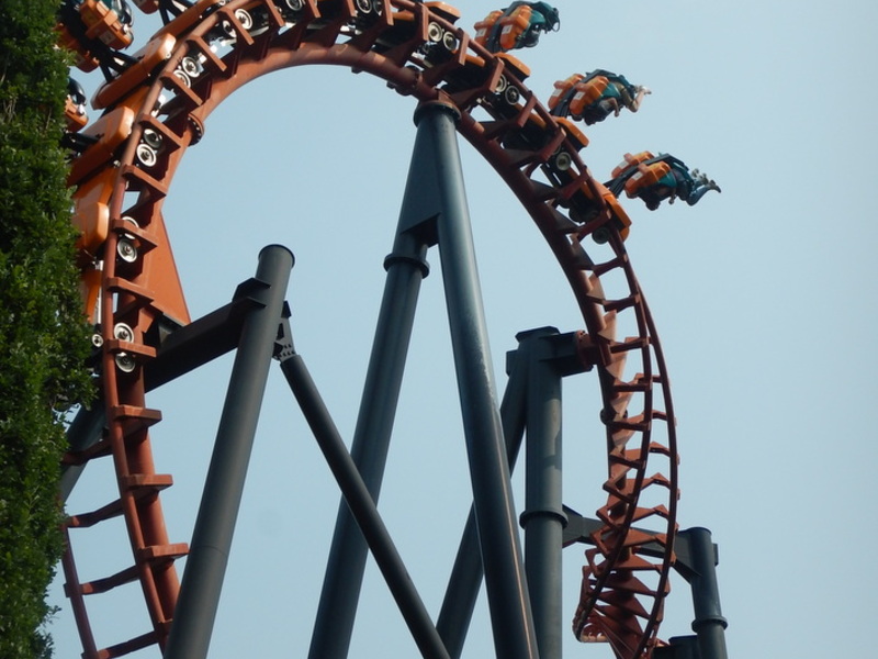 Pretparksafari >12 jaar