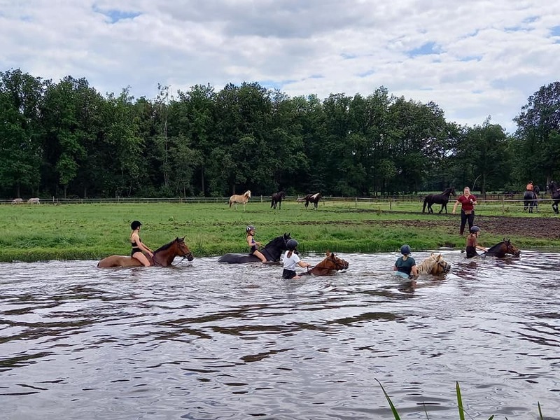 Paardrijden in het groen