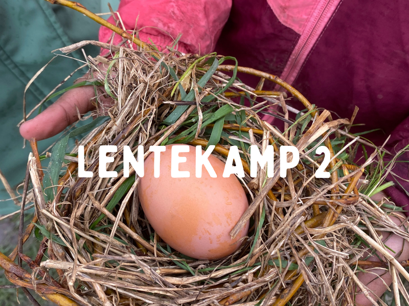 NatuurTalent vzw