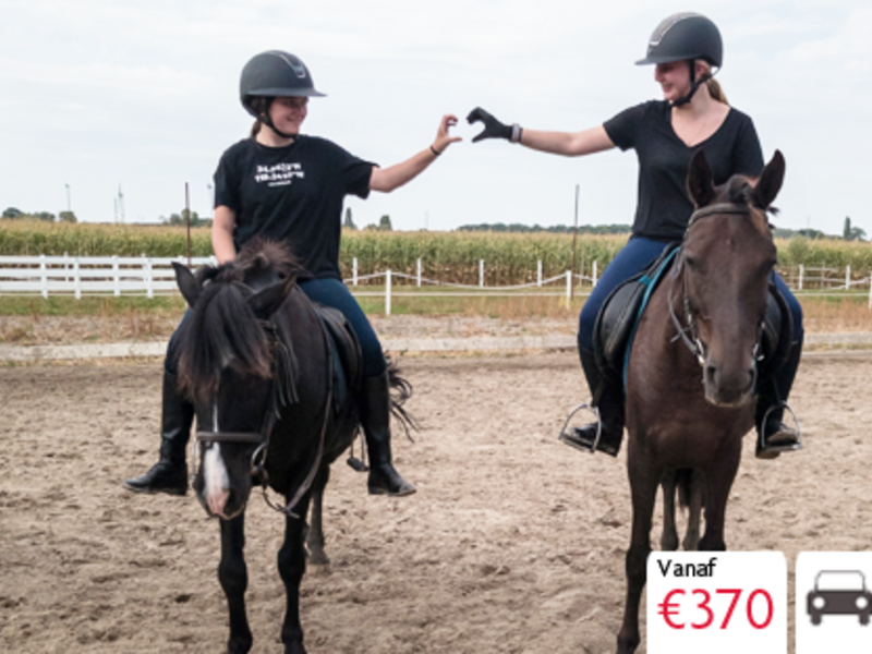 Ponyvakantie