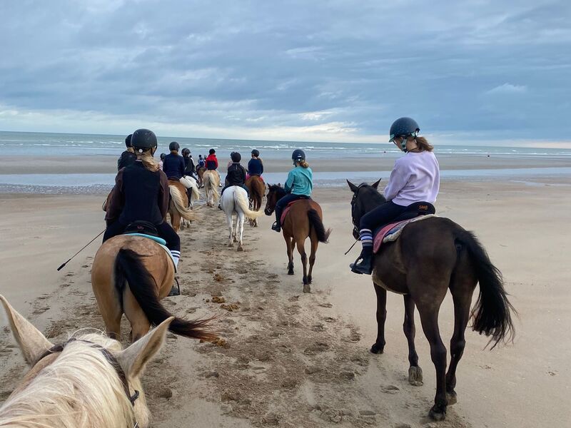 Paardrijden aan zee