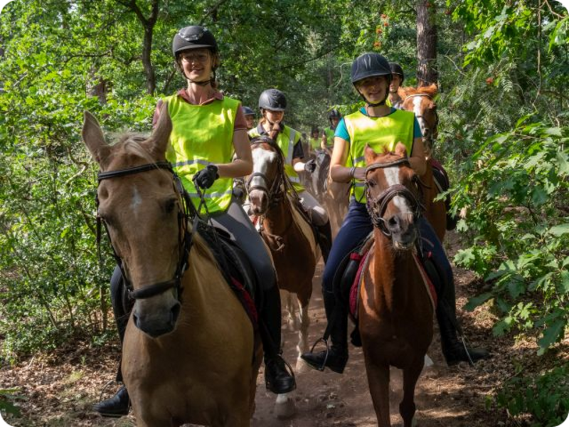 Paardrijden manege 't Speycker