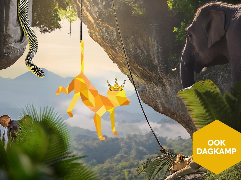 Coco de junglekoning | Dagkamp - 1 dag