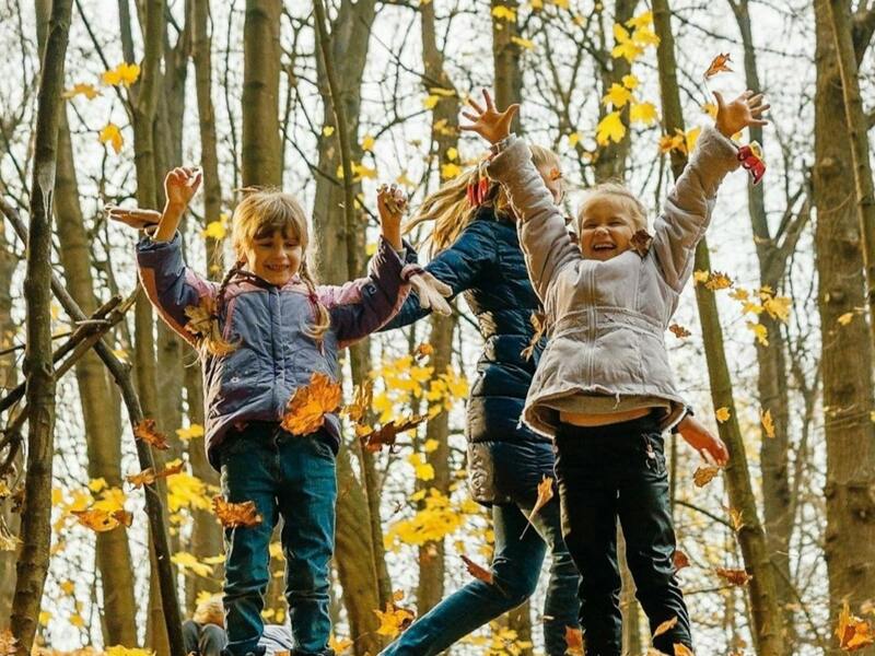 Kampje: Herstkracht: natuur, creativiteit en kleurenpracht!