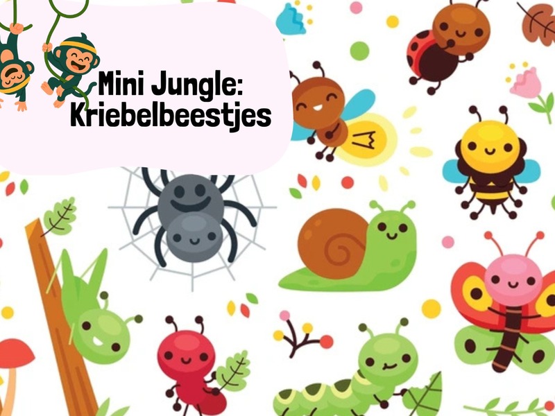 Mini Jungle kamp: kriebelbeestjes