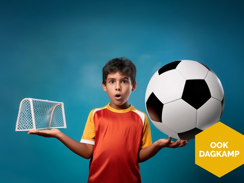 Game on! (light) | Dagkampen