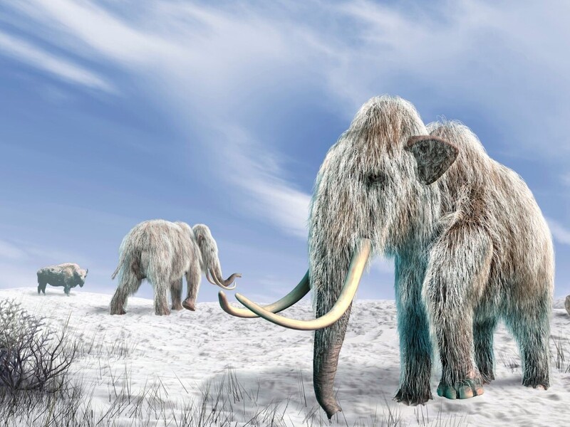 Dino’s en Mammoeten: Kleuteravonturen in de Prehistorie