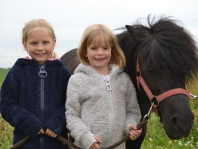 Pony-meidenkamp 