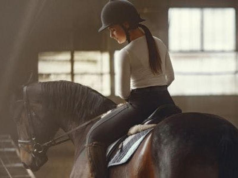 nm Pony- en paardrijden