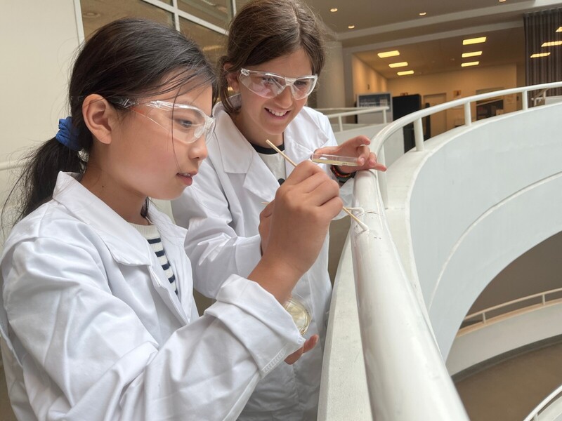 Experimenteerfabriek - 4d