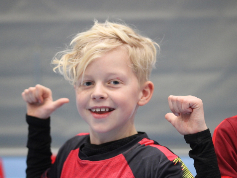 Indoor krokusstage Merelbeke