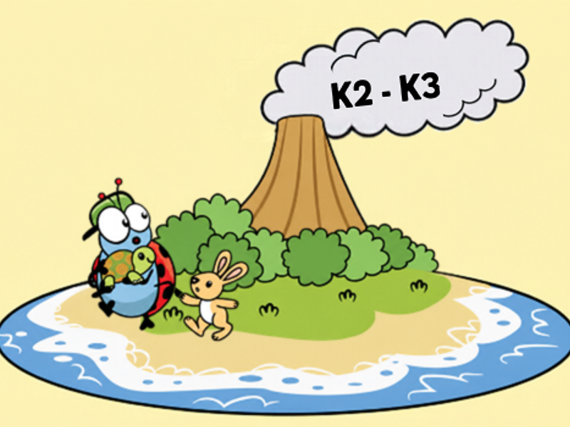Het eiland van Kriki (Kleuter)