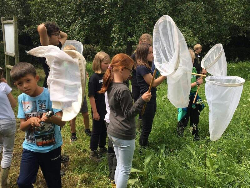 Natuurkamp The Hedge Vilvoorde 7- tot 14-jarigen 20 tem 24 juli 2026 (niet op 21/7)