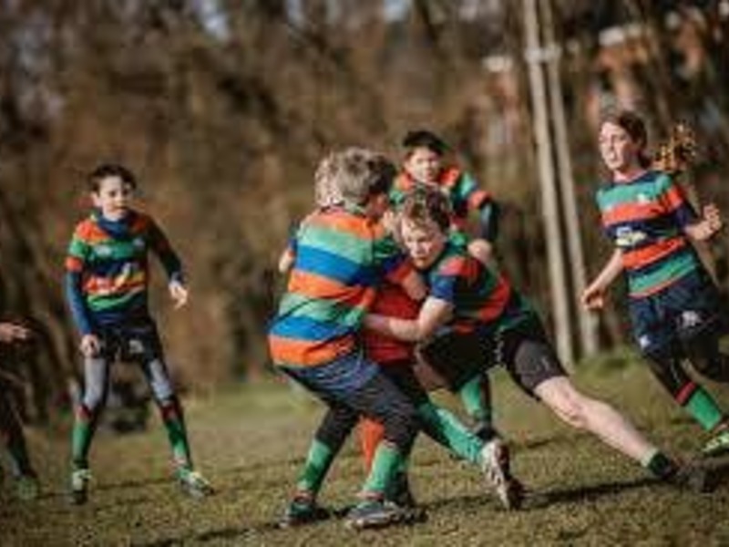 Rugbykamp (2014-2019)