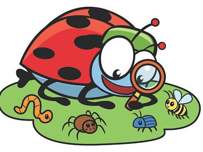 Kriebelbeestjes (8-10j)