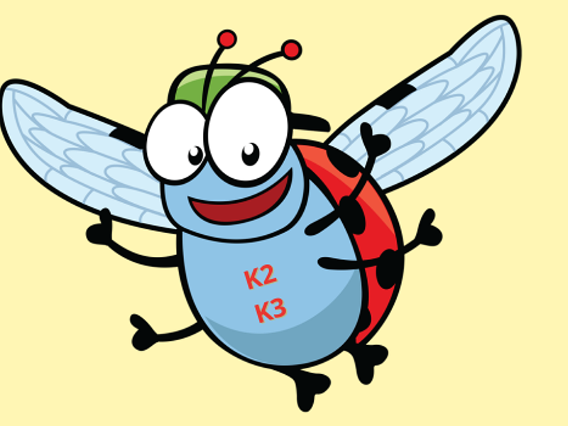 Kriki vliegt uit (Kleuter)