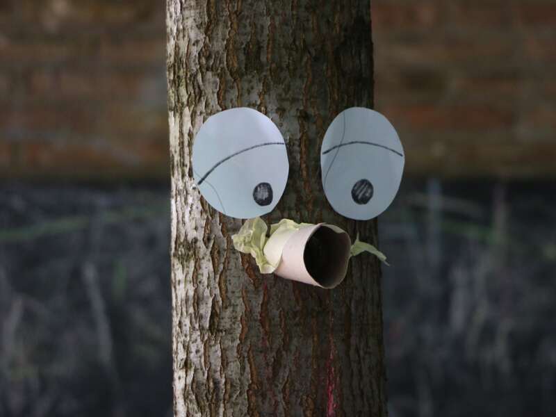 De verhalenboom