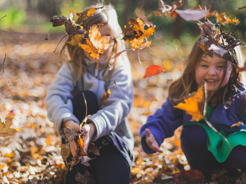 Herfstkriebels