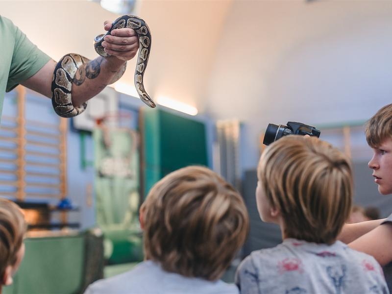Reptikamp