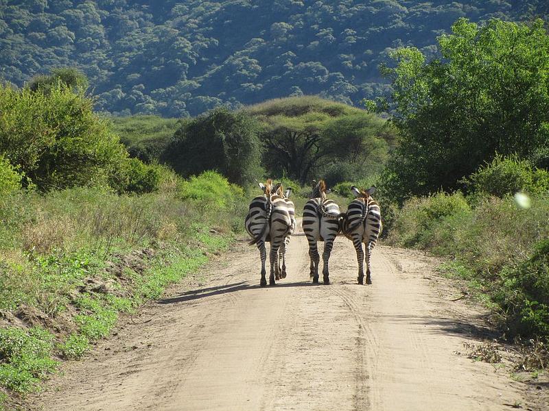 Narok