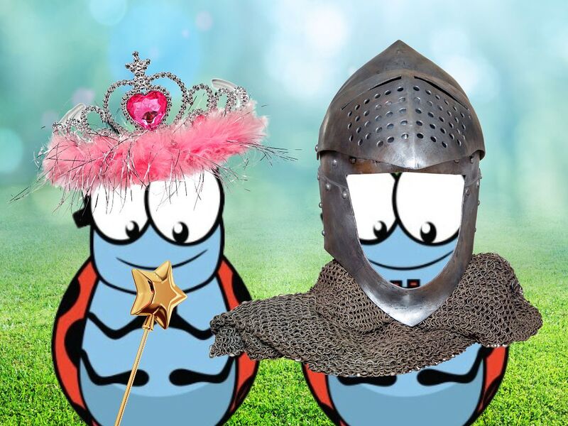 Ridders en prinsessen Waregem (17-21/08/2026)