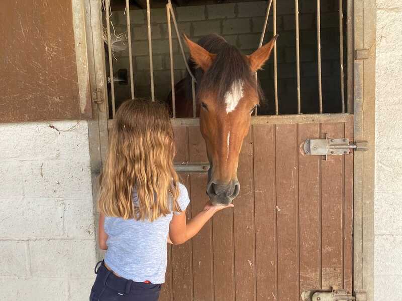 Met Crejaksie in galop