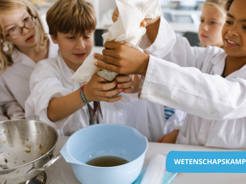 Van oerknal tot robot Zomer W8