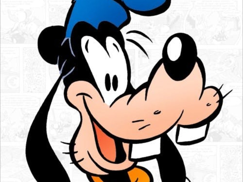 Speelpleinwerking Goofy's (paars) nm