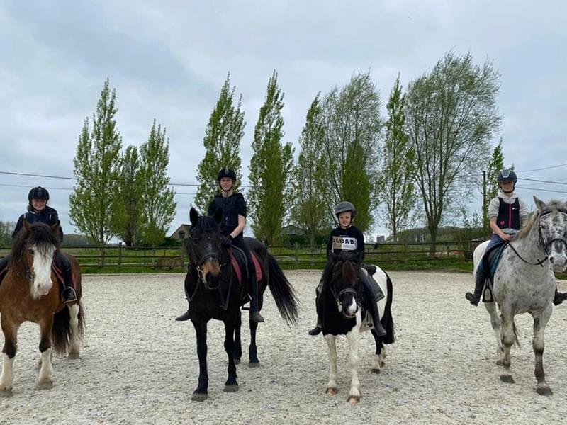 Paardrijden in Wingene