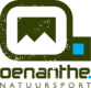 Oenanthe