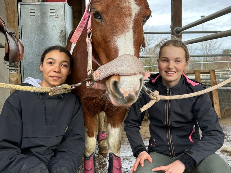 Intern Pony Pret