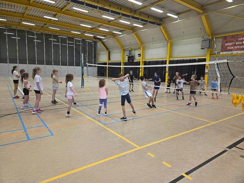 Cool Moves - Lager onderwijs