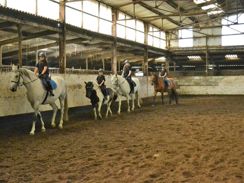 Sportkamp paardrijden