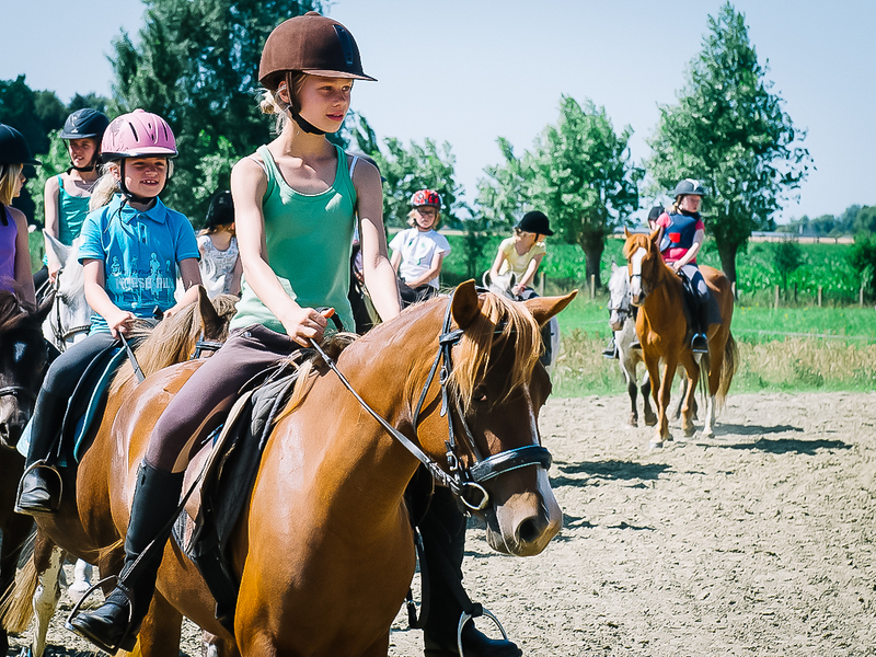 Ponykamp