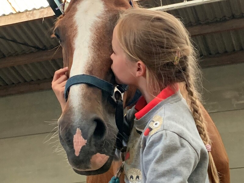 Pony- en paardenkamp Pasen 1 - 2025