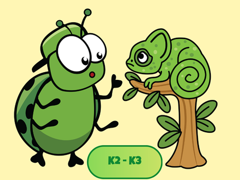 Krikrameleon (Kleuter)