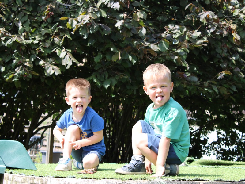 De verhalenboom