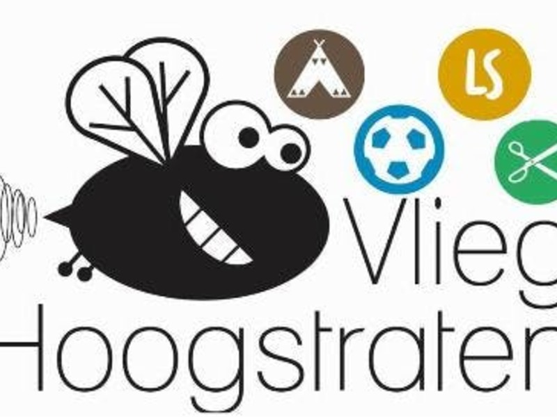 ZOMER: Bal & Omni Games