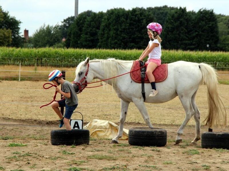 Ponykamp