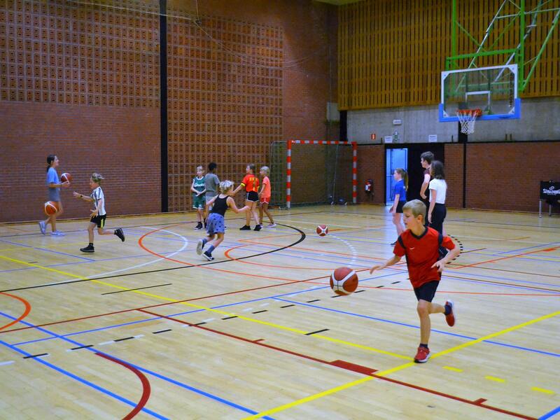 Sportkamp basketbal lage ringen