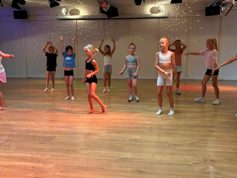 Zomer 4 Danskamp