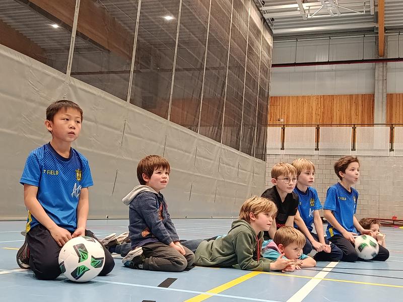 Indoor krokusstage Merelbeke