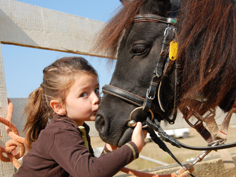 Ponytaalkamp Au Galop