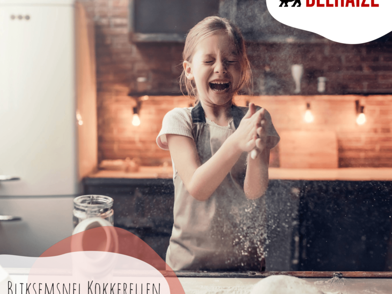 Bliksemsnel Kokkerellen met de Kleine Leeuwtjes KH