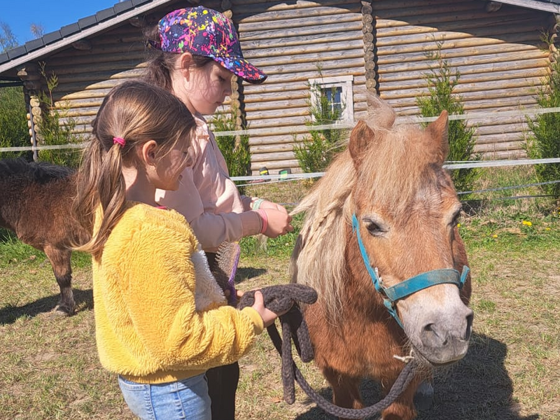 Ponygewenning