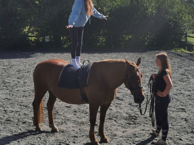 Hold your horses