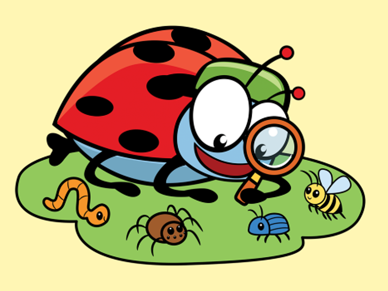 Kriebelbeestjes (5-7j)
